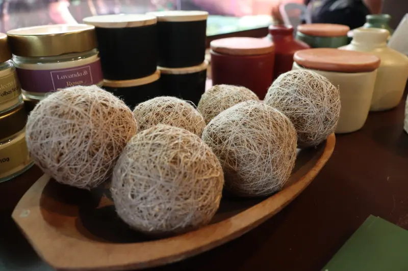 notícia: Inova Sociobio segue com inscrições abertas para fortalecer iniciativas sustentáveis de sociobiodiversidade