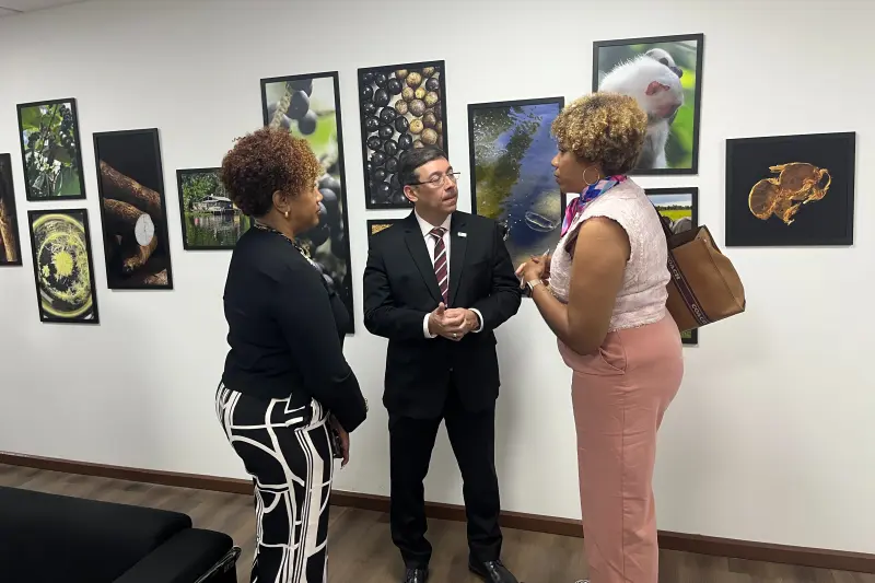 notícia: Pará e Guiana Francesa tratam sobre cooperação científica para a Amazônia