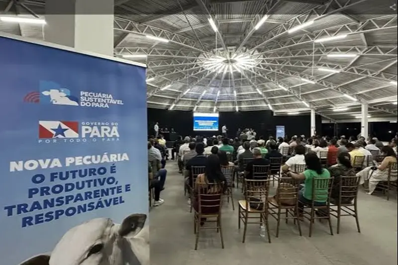 notícia: Produtores do Pará conhecem benefícios do programa de identificação individual bovina