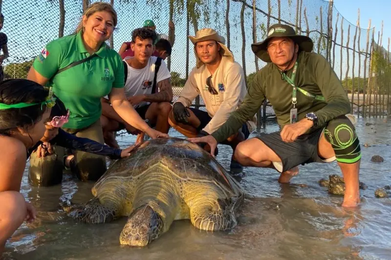 notícia: Tartaruga marinha é resgatada e devolvida ao mar na APA Algodoal-Maiandeua