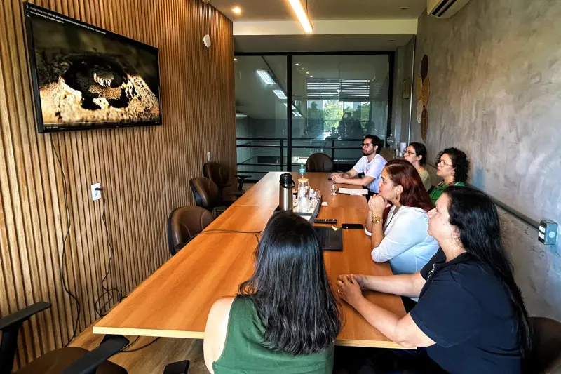 notícia: Projeto Realiza Pará avança no processo de proteção florestal por meio da bioeconomia