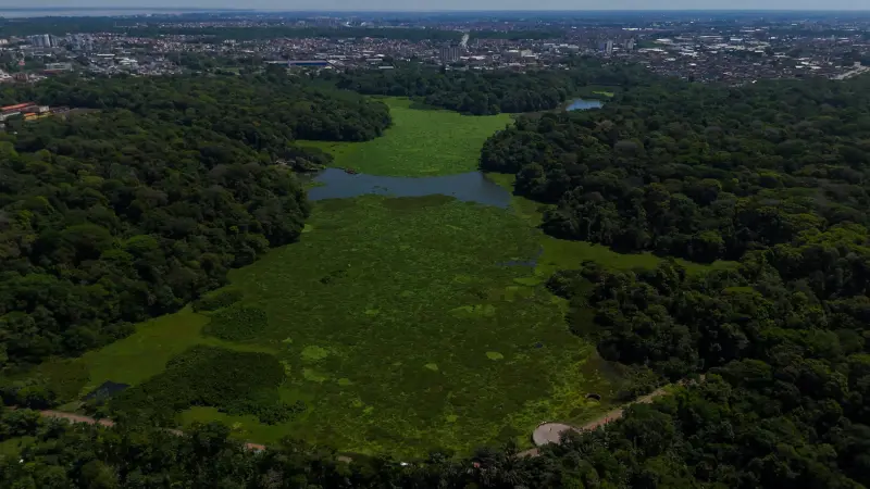 galeria: Limpeza do Lago Bolonha