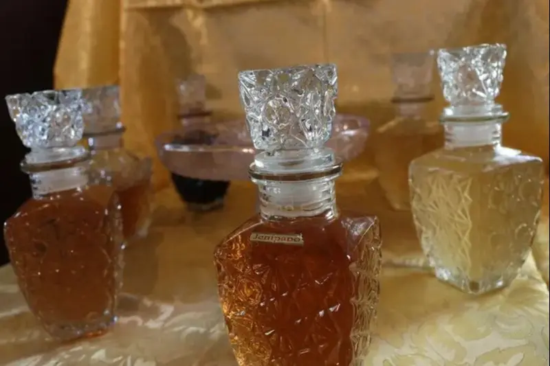 notícia: Inova Sociobio segue com inscrições abertas para apoio a projetos sustentáveis no Pará