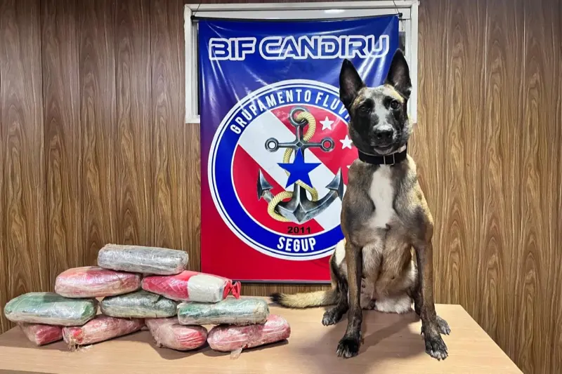 notícia: Em Óbidos, agentes da Base Candiru prendem homem transportando drogas em carro