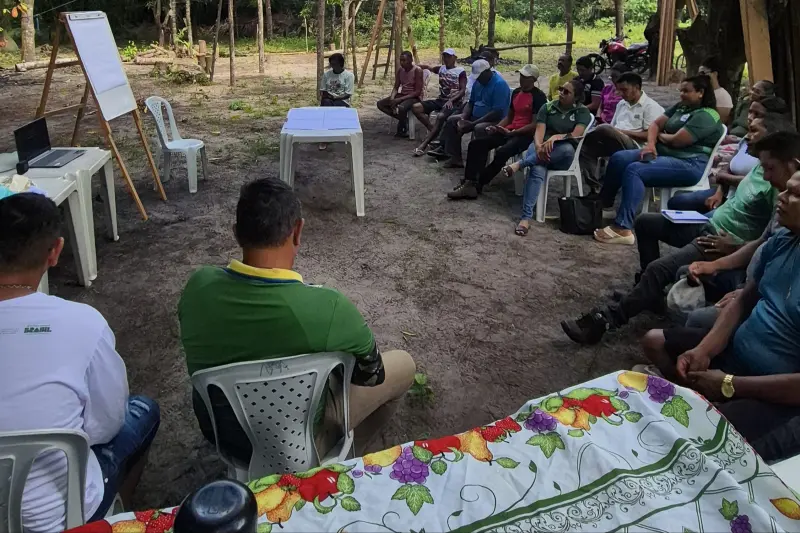 notícia: No Marajó, Emater fortalece cadeia produtiva de açaí no município de Salvaterra