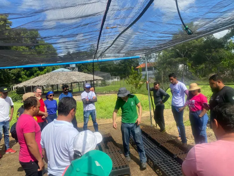 notícia: Viveiros no Marajó promovem recuperação de áreas degradadas e geram renda