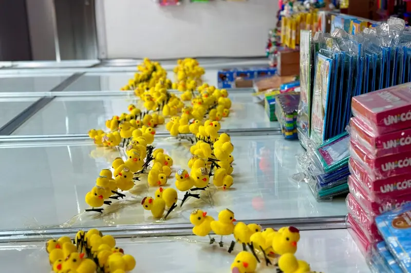 notícia: Acessório que virou 'tendência' pelo mundo, 'Pato literário' chega a 28ª Feira Pan-Amazônica do Livro e das Multivozes