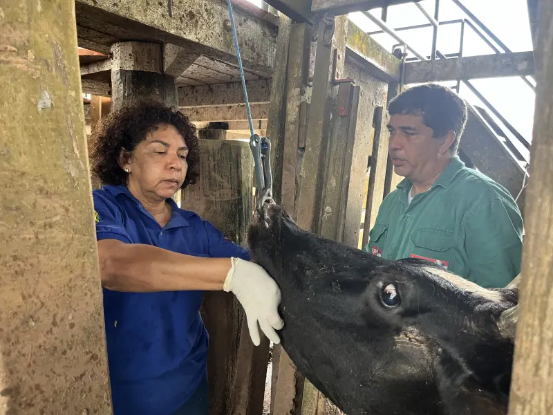 notícia: PSS da Adepará abre inscrições nesta segunda-feira (18) até quarta-feira (20)