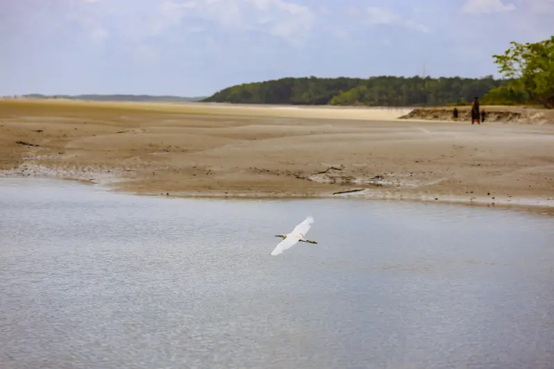 notícia: Consulta Pública aborda criação de 3 novas unidades de conservação em São João de Pirabas