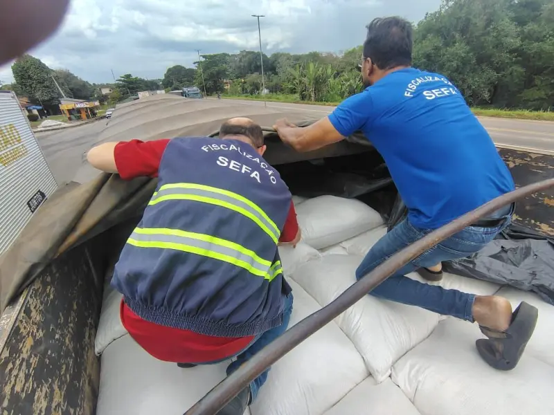 notícia: Sefa apreende 35 toneladas de farinha de mandioca em Cachoeira do Piriá