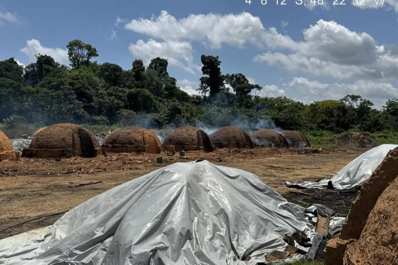 notícia: Homem é preso pela Polícia Civil, em Rondon do Pará, por crime ambiental