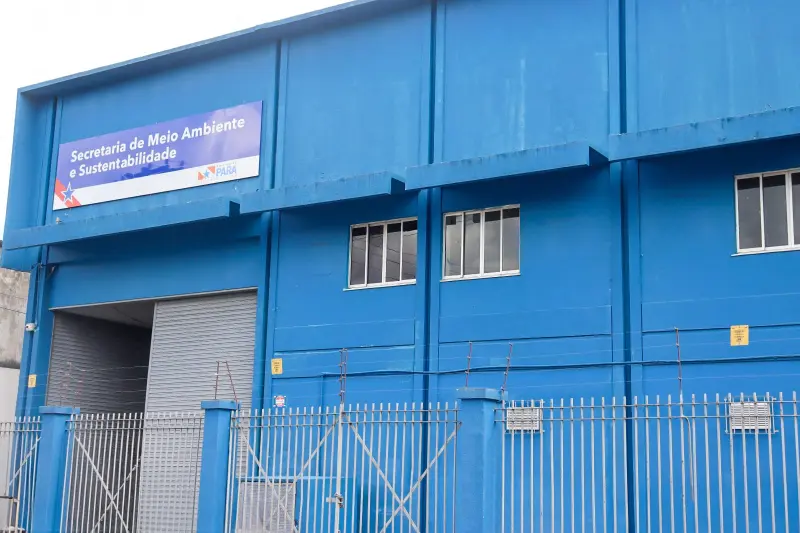 notícia: Semas anuncia leilão de produtos florestais e bens apreendidos em ações de fiscalização