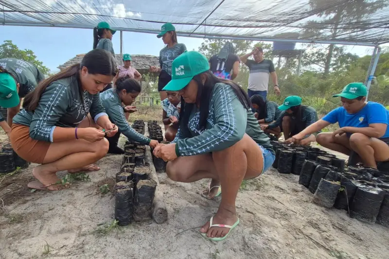 notícia: Projeto forma mulheres indígenas como agentes agroflorestais na Terra Indígena Alto Rio Guamá