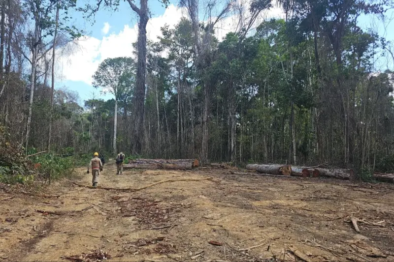notícia: Ações integradas da 64ª fase da Operação Curupira apreendem materiais em duas bases fixas