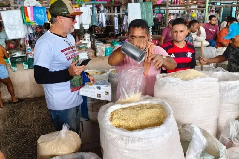 notícia: Com ações de educação, comunidades de Cametá são mobilizadas a ajudar na prevenção à Vassoura de Bruxa da Mandioca
