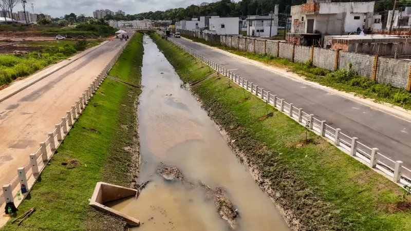 galeria: Plantio de árvores canal da Marambaia - IMAGENS DE DRONE - AEREAS