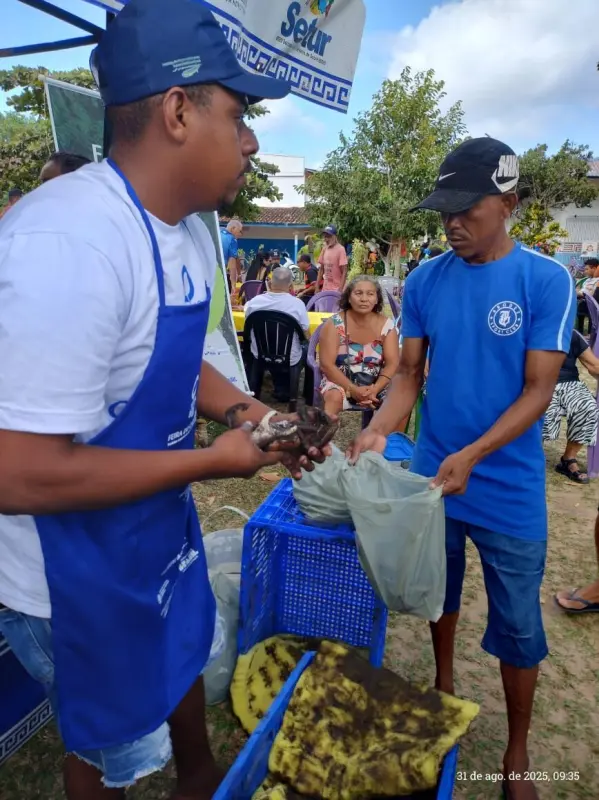 notícia: Castanhal será o próximo município a receber a Feira do Caranguejo, definem Sedap e Instituto Mamirauá