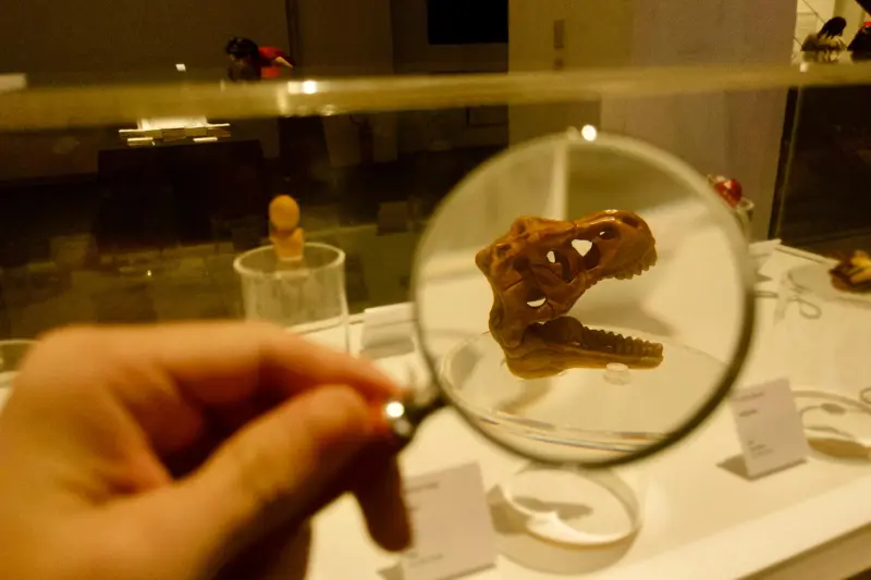 notícia: Governo do Pará recebe exposição de arte japonesa em celebração aos 130 anos de amizade entre Brasil e Japão