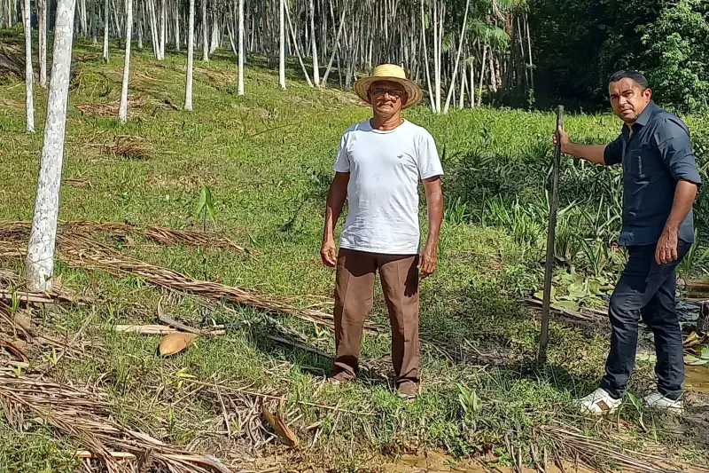 notícia: Dia da Amazônia: projetos da Emater recuperam áreas verdes em todo o Pará 