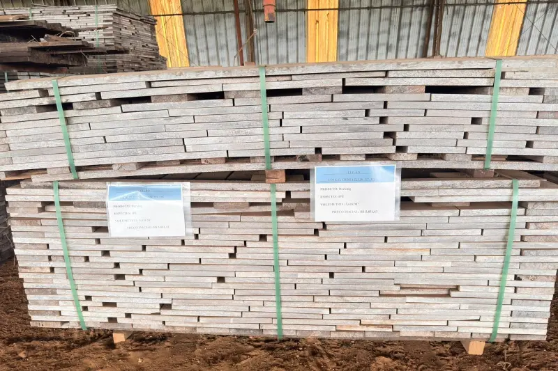 notícia: Neste sábado, Semas realiza leilão para fortalecer políticas ambientais no Estado