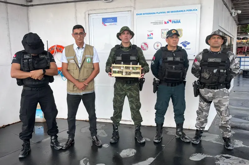 notícia: Agentes da Base Candiru resgatam pássaros escondidos em embarcação, na região de Óbidos