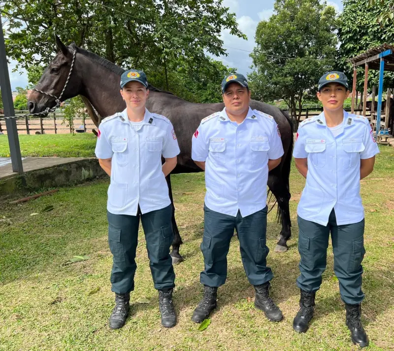 notícia: Polícia Militar destaca atuação do Centro Médico Veterinário para o trabalho da corporação