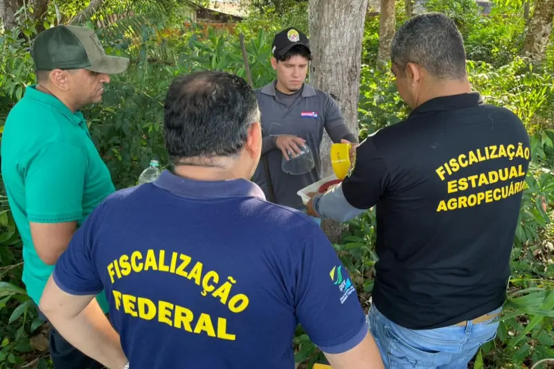notícia: Adepará investe em ações preventivas no combate à praga mosca-da-carambola no Pará