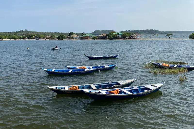 notícia: Cosanpa reforça serviços em Alter do Chão para Sairé 2025