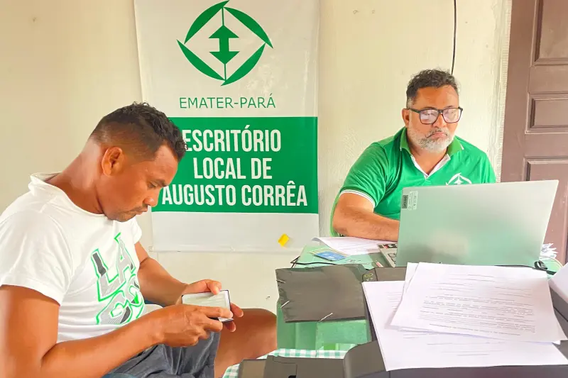 notícia: Emater registra produtores de mandioca de Augusto Corrêa para políticas públicas