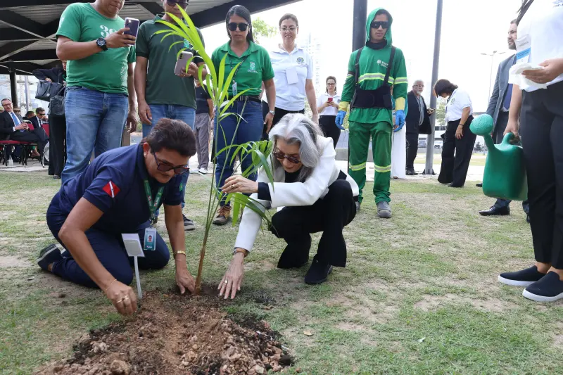 notícia: Porto Futuro recebe novas mudas de plantas nativas como parte da programação do Fórum Nacional Verdemocracia