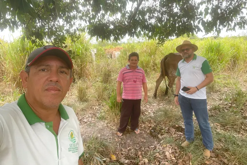 notícia: Com Emater, assentados da reforma agrária investem em pecuária em Ipixuna do Pará