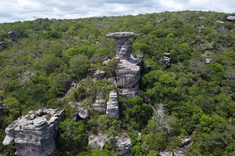 notícia: Ideflor-Bio discute avanços para o Parque Estadual Monte Alegre e APA Paytuna em reunião técnica