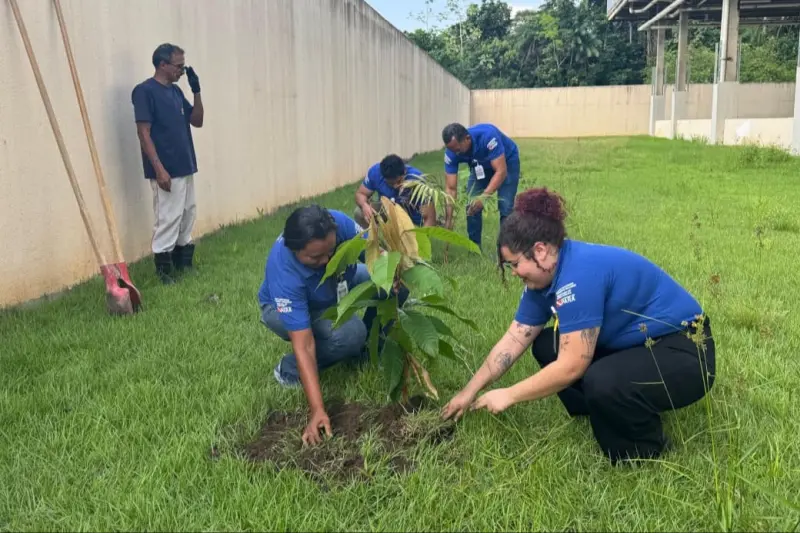 notícia: Plantio de árvores no PS Dr. Roberto Macedo destaca importância da sustentabilidade