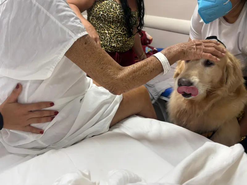 notícia: HOL celebra um ano do espaço exclusivo dedicado a cuidados paliativos oncológicos