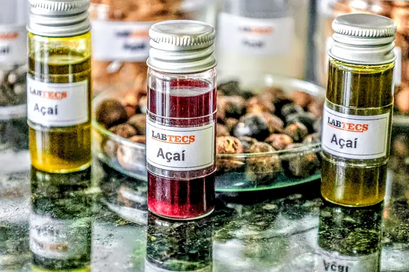 notícia: Azeite de açaí é desenvolvido no PCT Guamá com tecnologia limpa