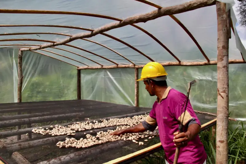 notícia: Empresa incentivada pelo governo do Pará é finalista do Prêmio Empreendedor Social 2025