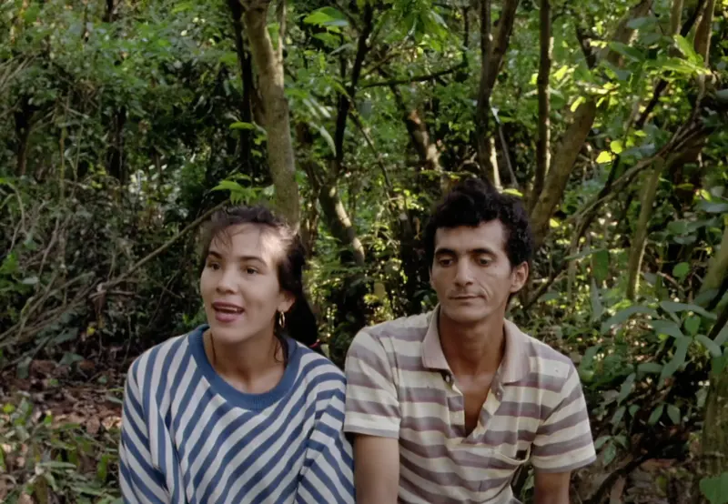 notícia: CineClubeMIS apresenta documentários de Frédéric Létang, nesta quarta-feira (1º)