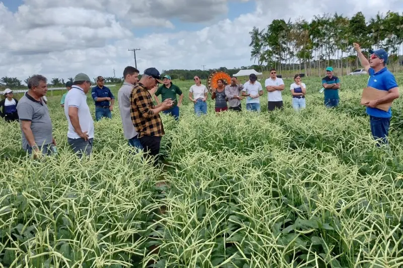 notícia: Inovação e sustentabilidade na agropecuária paraense serão impulsionadas com comitê estratégico liderado pela Sedap