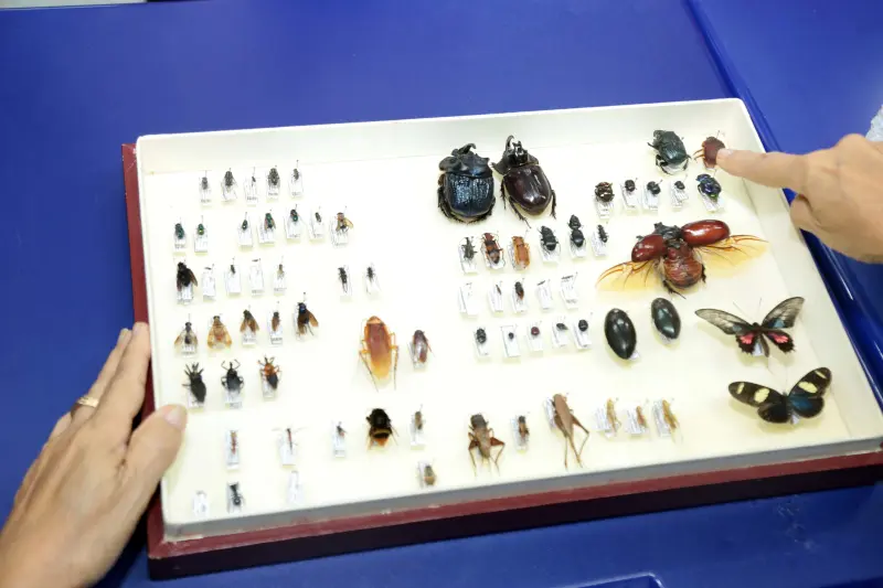 notícia: Programa "Futuras Cientistas 2026" está com inscrições abertas para alunas e professoras