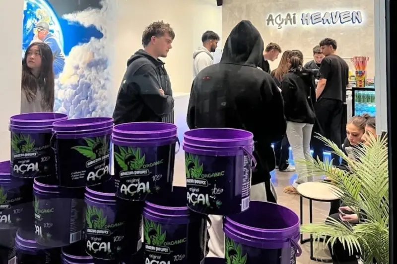 notícia: Países Baixos e Austrália aumentam o interesse pelo açaí produzido no Pará