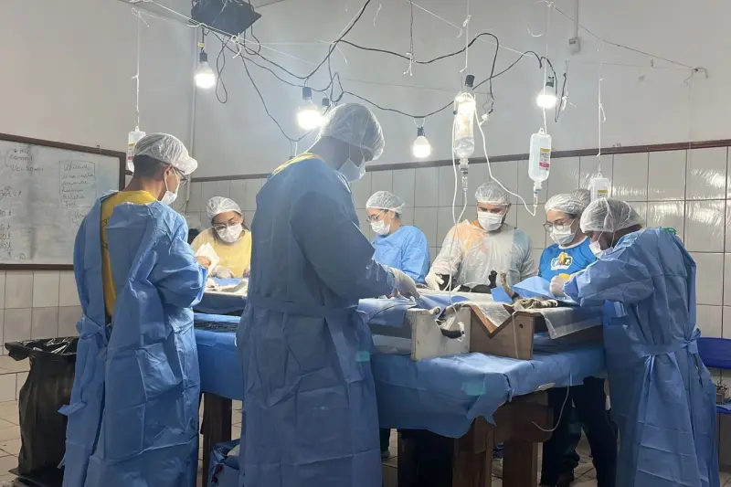 notícia: Polícia Civil participa de mutirão de castração animal em Abaetetuba