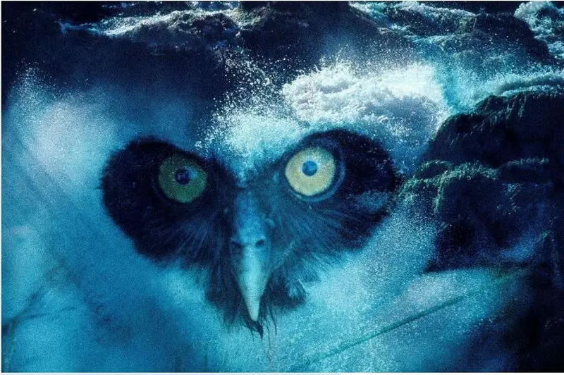 notícia: Exposição 'Claudia Andujar - Cosmovisão' abre ao público nesta terça-feira (7)