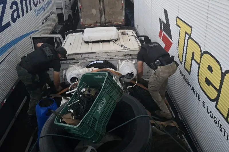 notícia: Agentes da Base Antônio Lemos apreendem 4 toneladas de pirarucu na Ilha do Marajó 