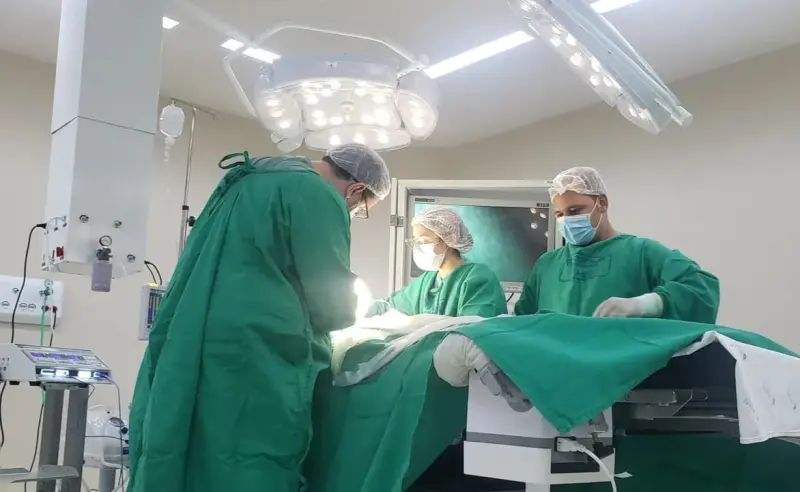 notícia: Pronto-Socorro estadual alerta para riscos da ingestão e aspiração de corpos estranhos