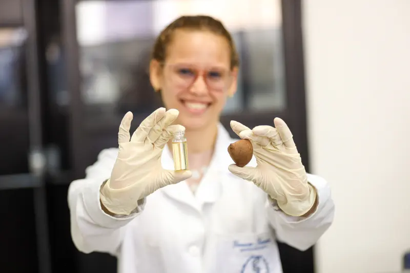 notícia:  Em Belém, inovações com andiroba avançam no Parque de Ciência e Tecnologia Guamá