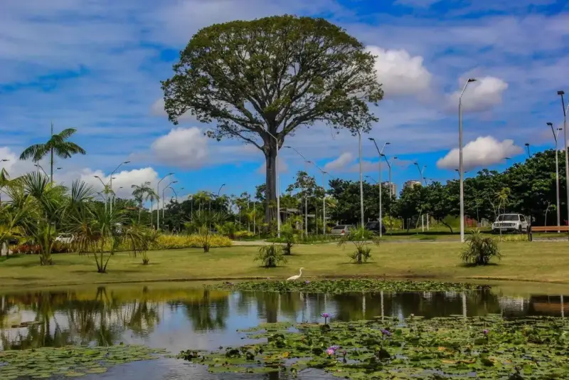 notícia: Parque Estadual do Utinga terá horário especial durante o fim de semana do Círio 2025