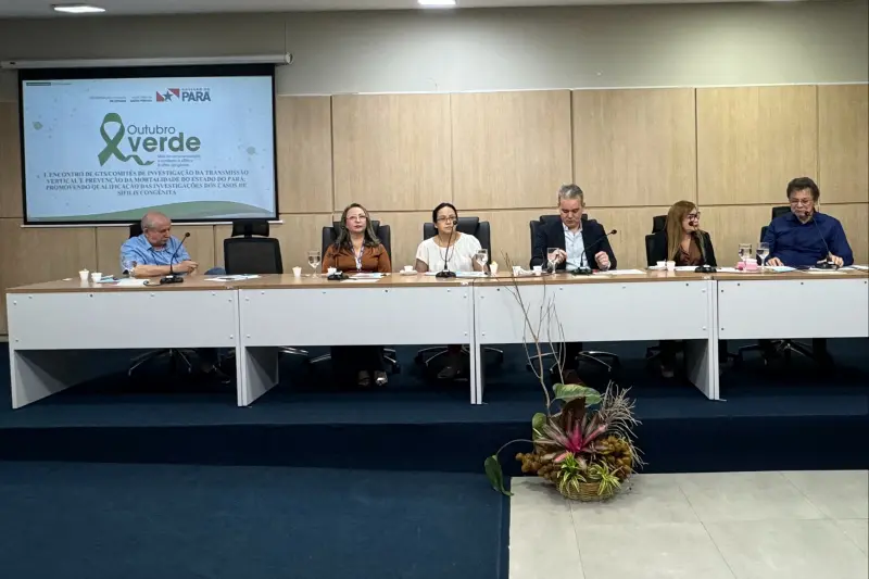 notícia: Encontro estadual promove qualificação para o enfrentamento da sífilis congênita no Pará