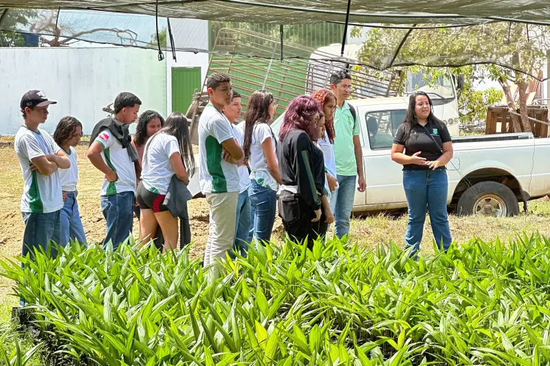 notícia: Estudantes vivenciam aprendizado com a natureza na Serra das Andorinhas