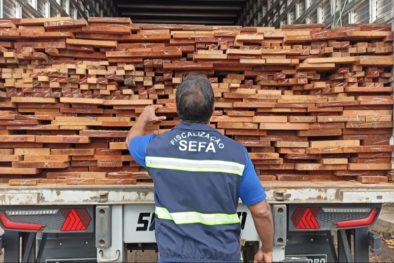 notícia: Sefa apreende 31 metros cúbicos de madeira em Cachoeira do Piriá, nordeste do Pará 