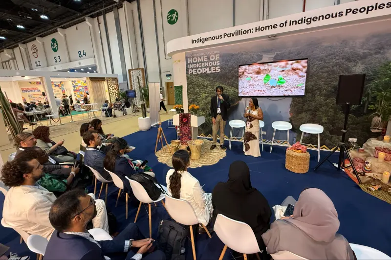 notícia: Do Pará para o mundo: liderança indígena inspira nova rota para a governança climática global